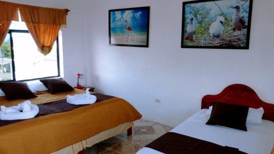 Hostal Sandrita بْوُرتو فيلاميل المظهر الخارجي الصورة